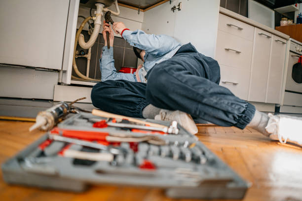 Best Commercial Plumbing Services  in Breckenridge, MI