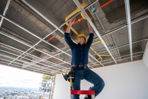 Best Affordable Plumbing Services  in Breckenridge, MI
