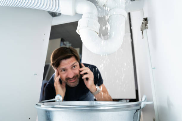 Best Drain Cleaning Services  in Breckenridge, MI