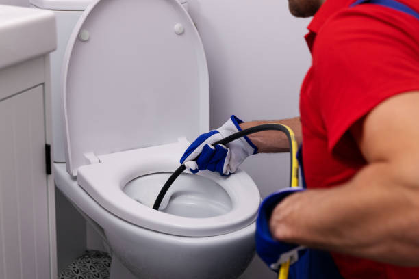 Best Toilet Repair Services  in Breckenridge, MI