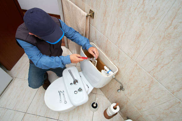 Best Same-Day Plumbing Service  in Breckenridge, MI