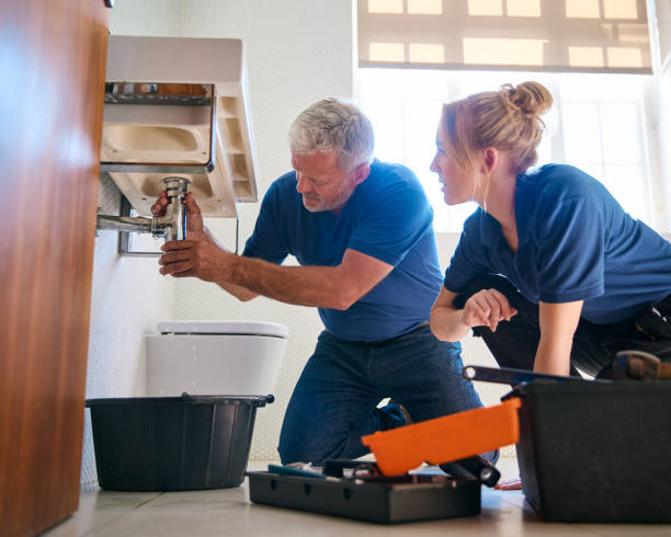 Best Local Plumber Services  in Breckenridge, MI